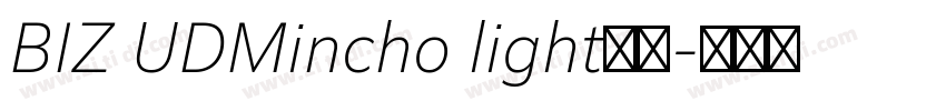 BIZ UDMincho light字体字体转换
